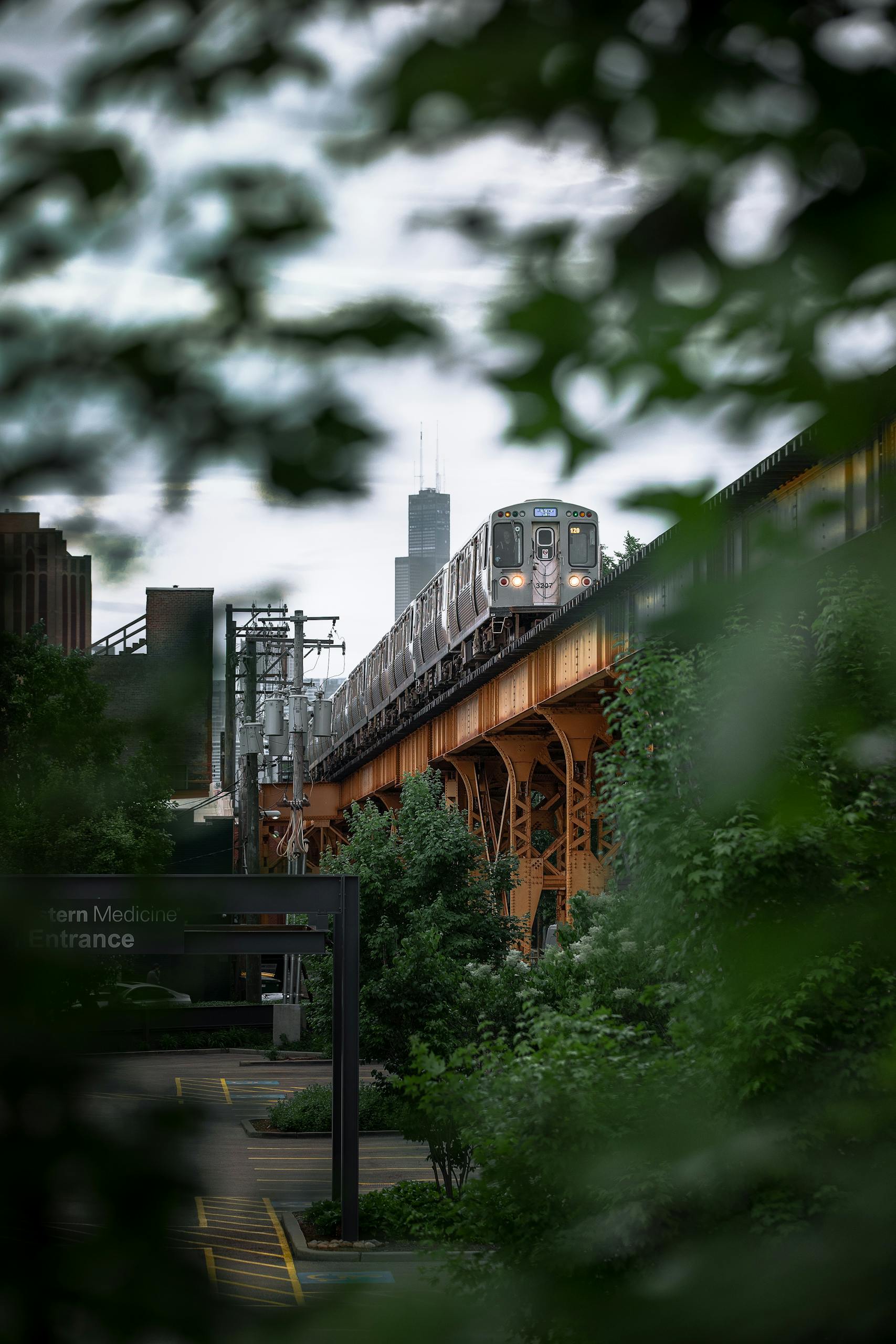 Train on elevated tracks in urban setting with greenery and city skyline under cloudy sky.