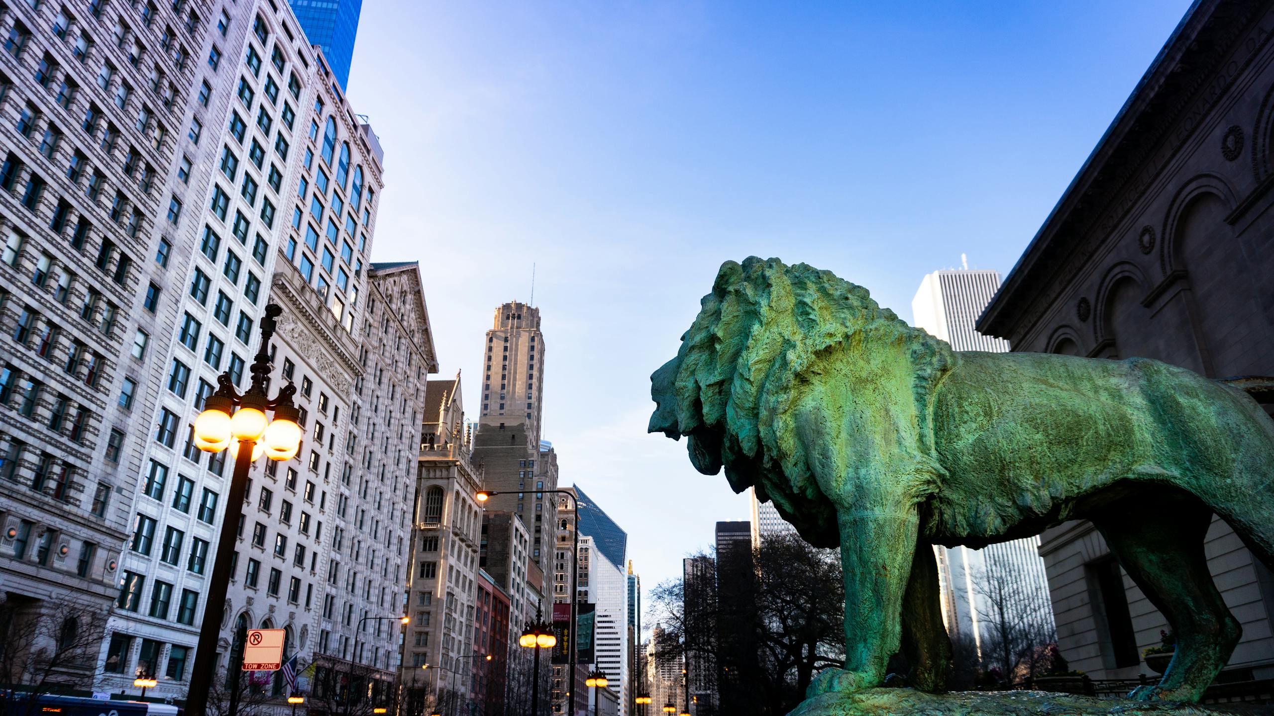View of Chicago skyscrapers and lion statue, capturing urban architecture and art.